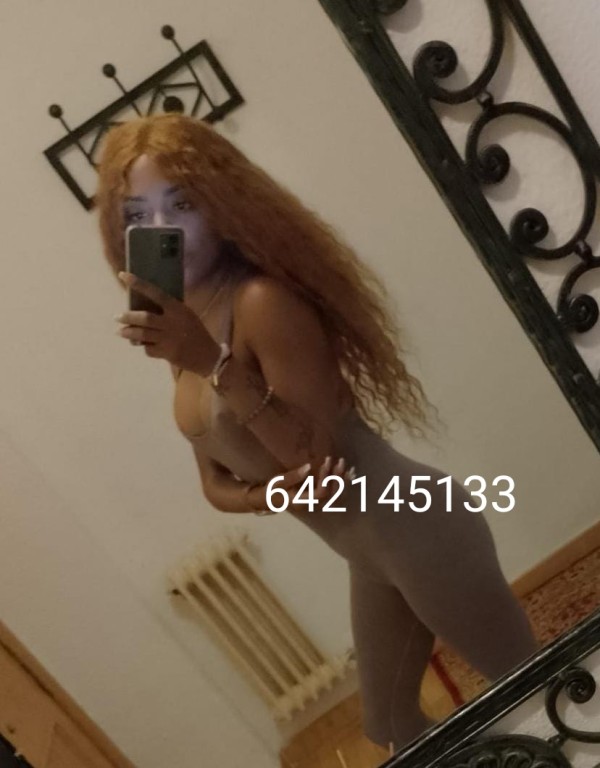 Nicol latina