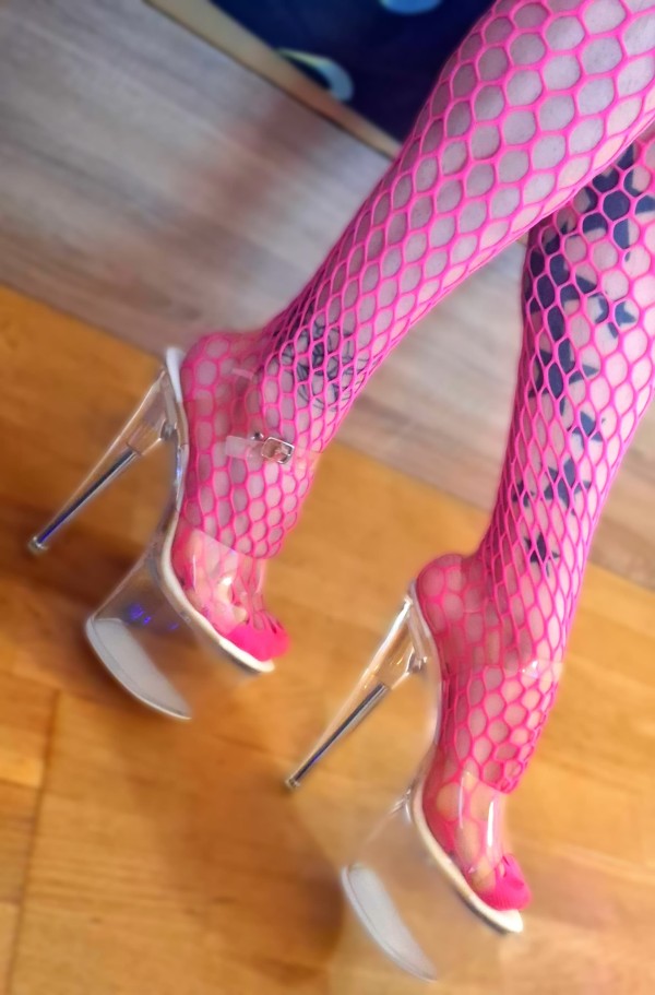 CERDA POLLONA FIESTERA NIÑATA LATINA