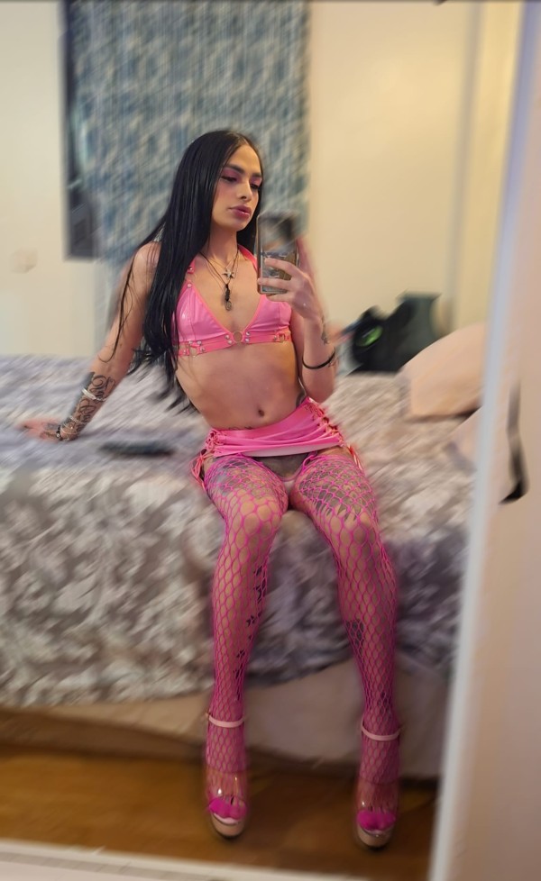 CERDA POLLONA FIESTERA NIÑATA LATINA