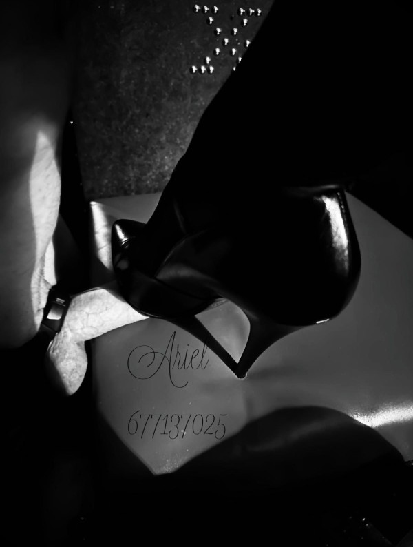 Reconducción sexual del BDSM