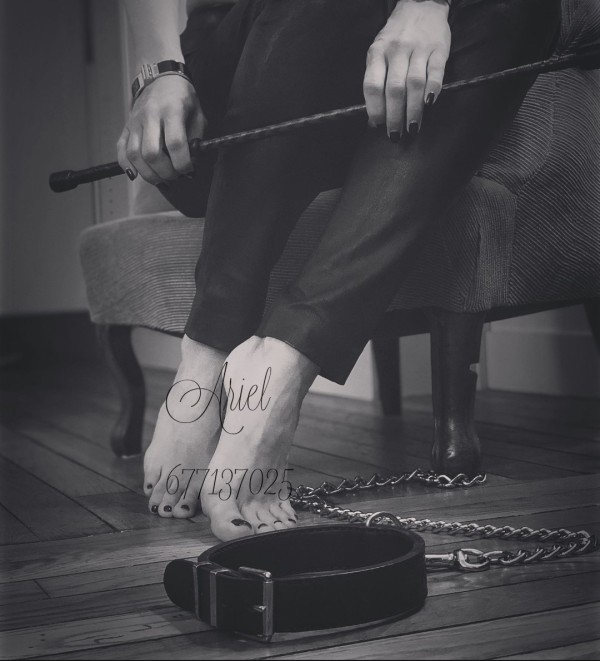Reconducción sexual del BDSM