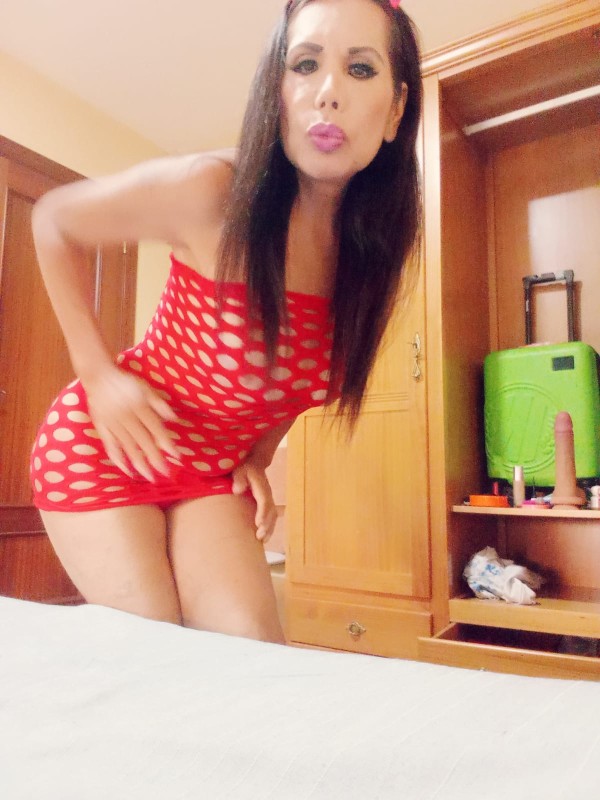 Trans Latina Argentina EN ALBACETE