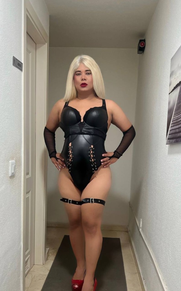 POCOS DÍAS EN JEREZ TRANS CAÑERA VERSÁTIL FIESTERA