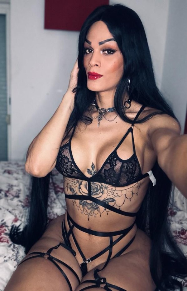 novedad Latina bomba Trans super fies y completa todo lo q buscas