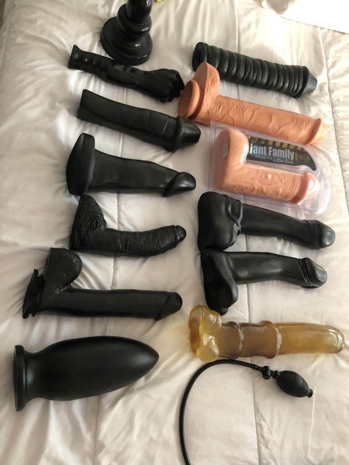 INGRID DILATADORA JUEGOS