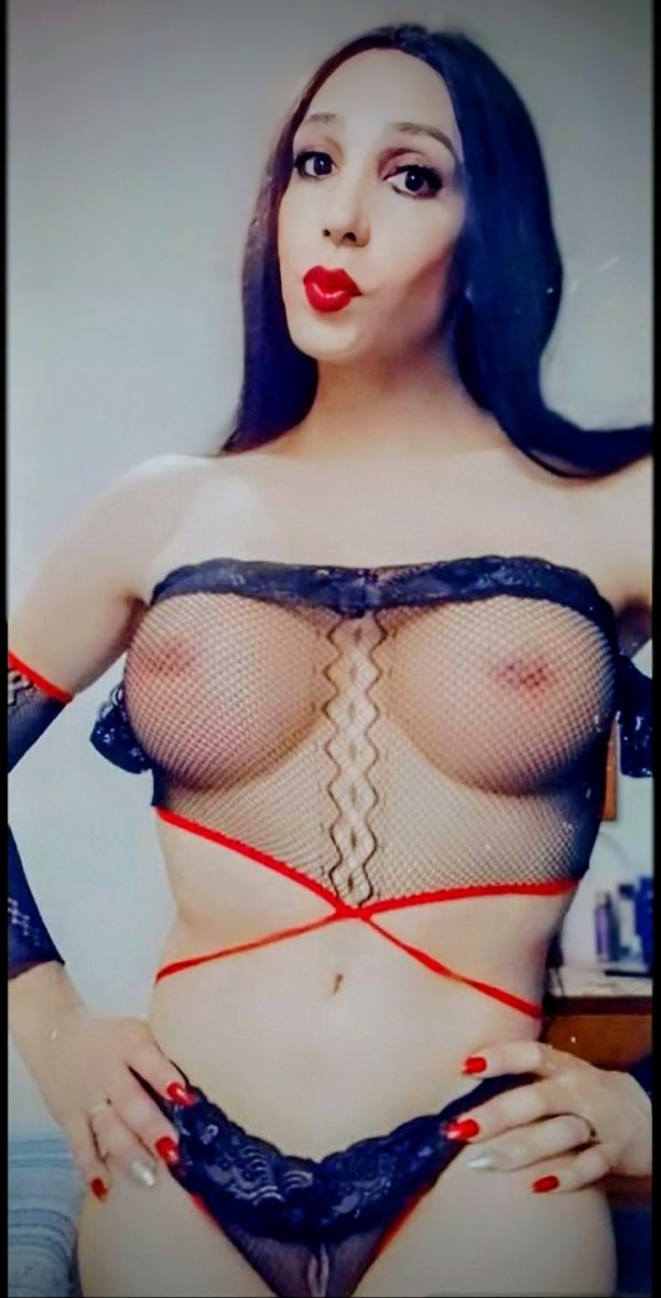 Novedad en Palencia  pocos días fiesta 24 horas