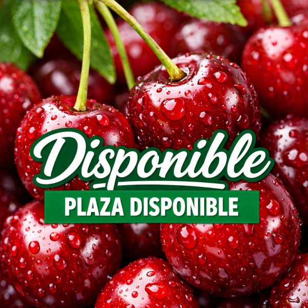 Se busca chica para piso 603994971 relax