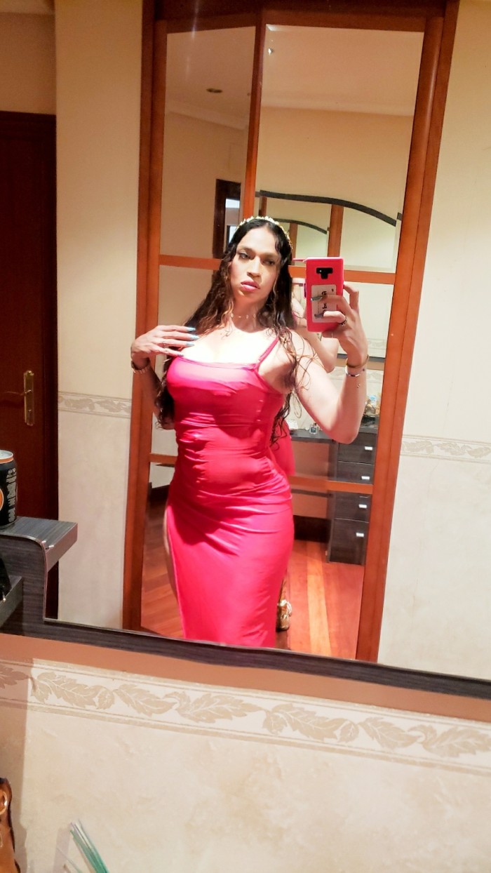 AUTENTICA TRANS COLOMBIANA NOVEDAD EN TU CIUDAD