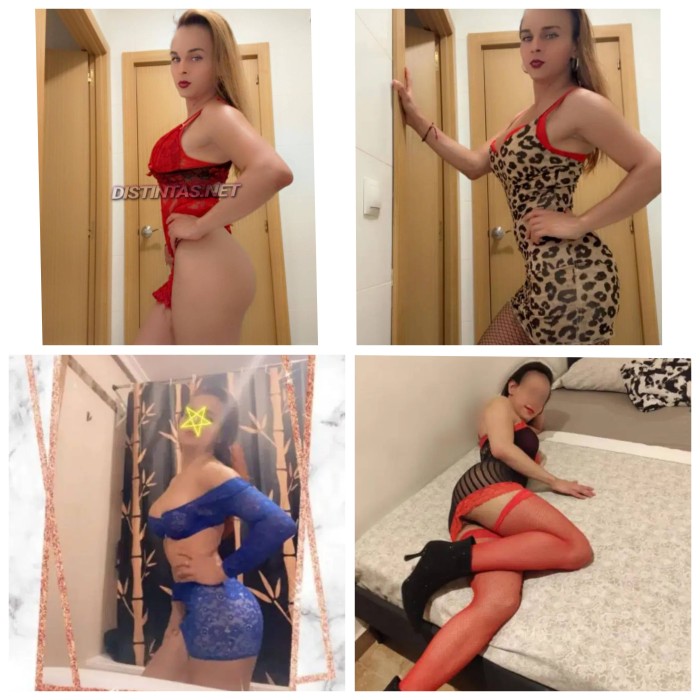 Erika Chica Trans Colombiana Fogosa Caliente, Vers