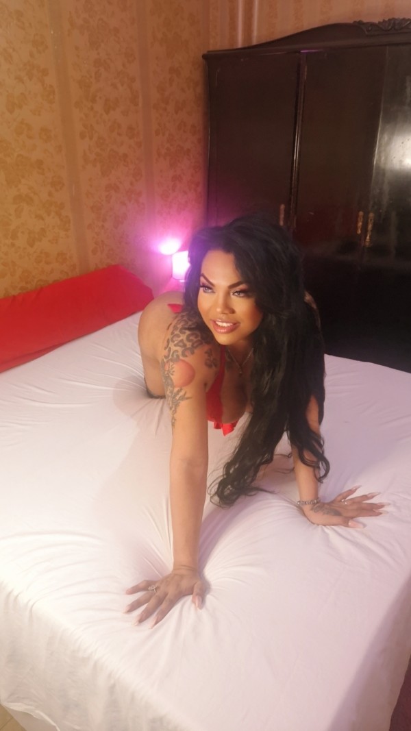 Full service transexual disponible en palma CENTRO coll de Rabassa