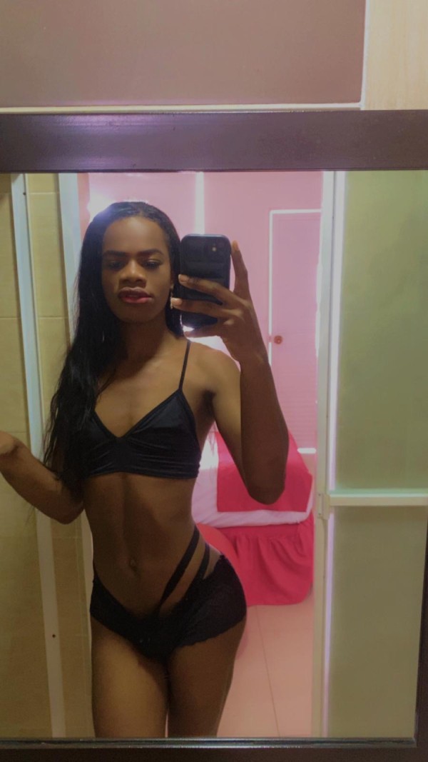 Trans latina