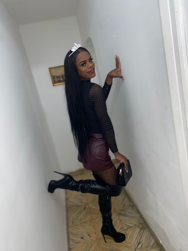 Trans latina