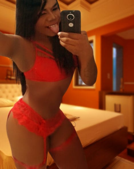 Trans Agudulce dotada completa feisteira