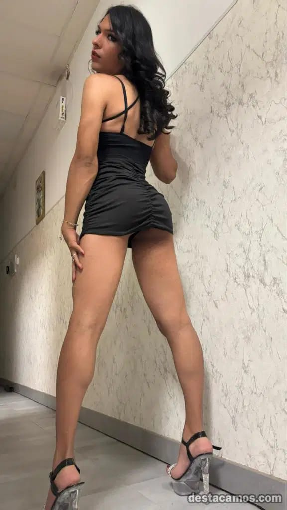 Deme la bienvenida Chica trans Colombiana pequeña y viciosa