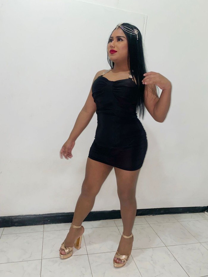 Trans. Fiestera activa pasiva a todo dar(24/7)