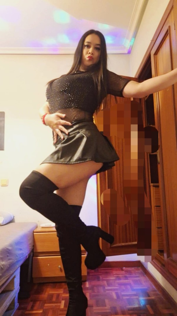 TRANS DIVINA FOGOSA, CAÑERA Y MUY LECHERA