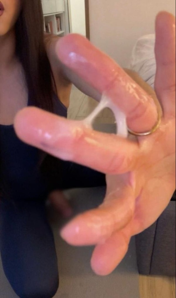 Aurora Trans novedad independiente  todos  servic