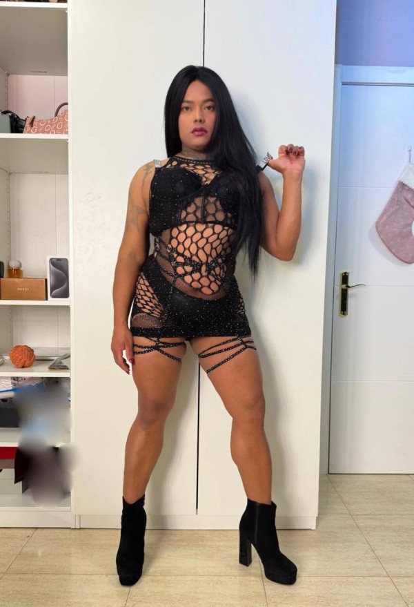 DE VUELTA A LA CIUDAD TRANS CALIENTE PUTA FIESTERA TÚ MEJOR OPCIÓN