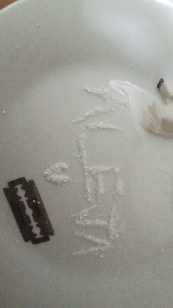 Trans Novedad Trato De novio Morbosa, fiestera