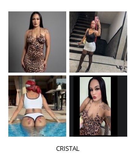 5 PUTITTAS CAÑERAS FIESTERAS SUPER FOLLADORAS