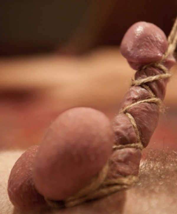 Jamás en tu vida encontrarás una ama mejor que yo!Vengan a mí fieles perros