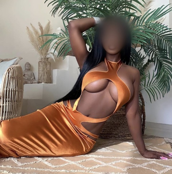 LA MUJER PERFECTA EN LEON, SOLO SALIDAS