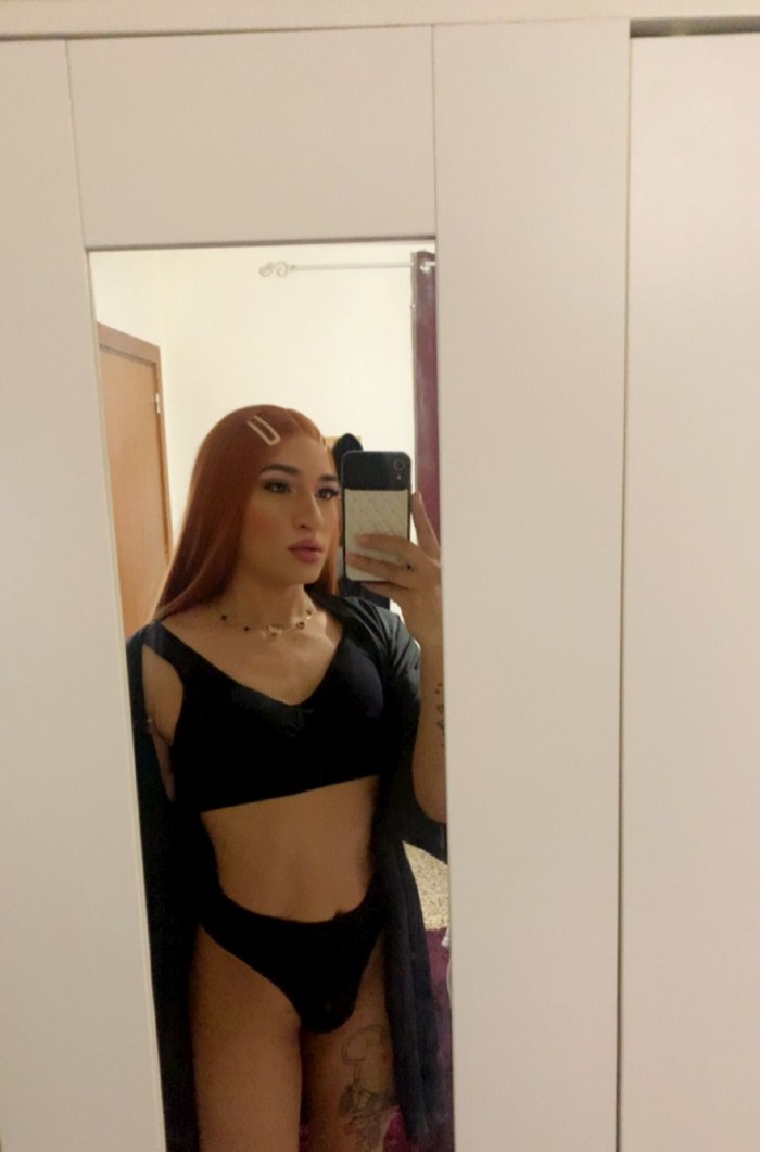 COLOMBIANA PELIRROJA LECHERA VERSÁTIL PRIVADA