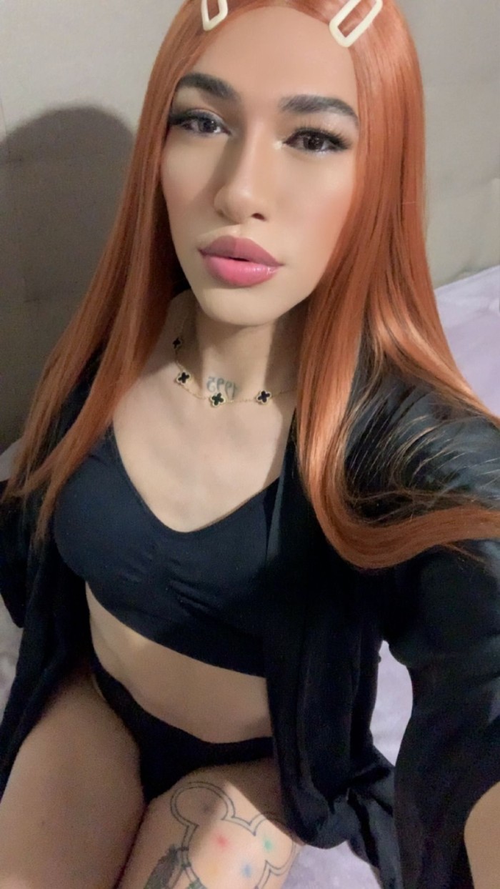 COLOMBIANA PELIRROJA LECHERA VERSÁTIL PRIVADA