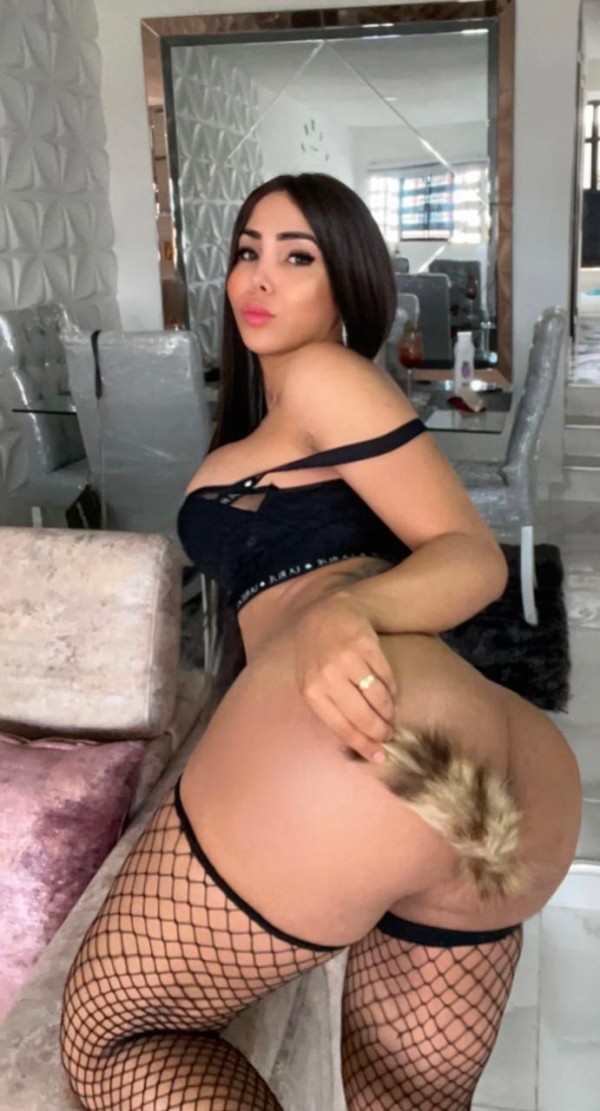 Novenda trans mulata cañera morbosa de alto impact