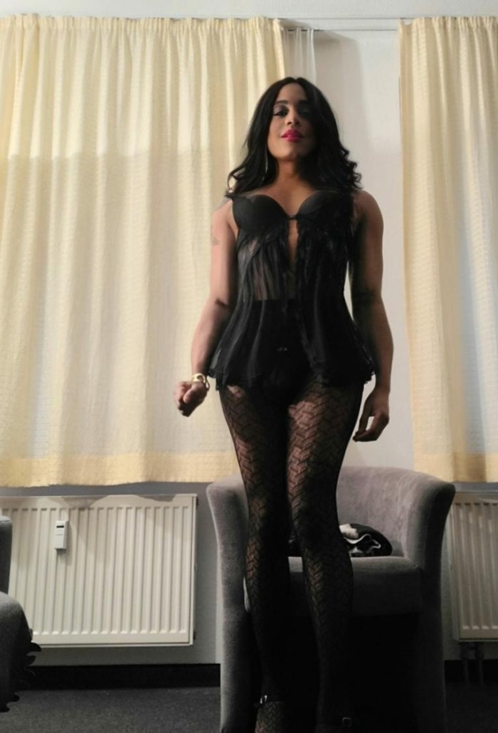 Hola soy trans mulata cubana 25 años