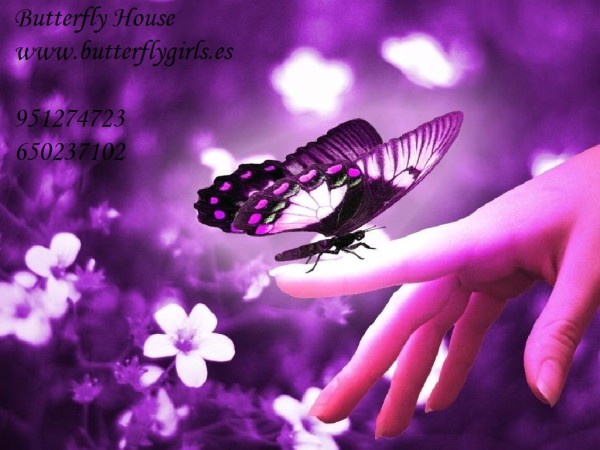 BUTTERFLY 673276114, ESCORT LISTA PARA TI