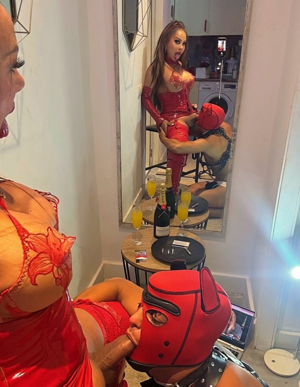 DIPUTACIÓN 290 INDEPENDIENTE DISCRECIÓN TOTALMENTE SOLA