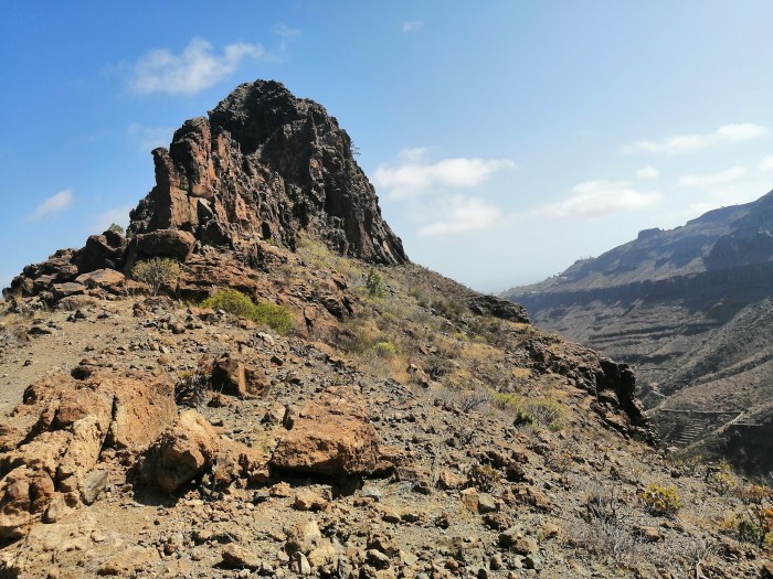 paseo masaje y sexo en la naturaleza