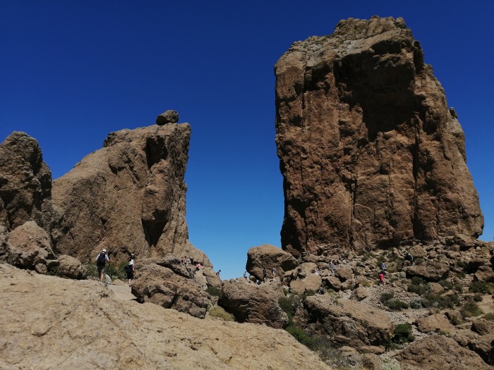 paseo masaje y sexo en la naturaleza
