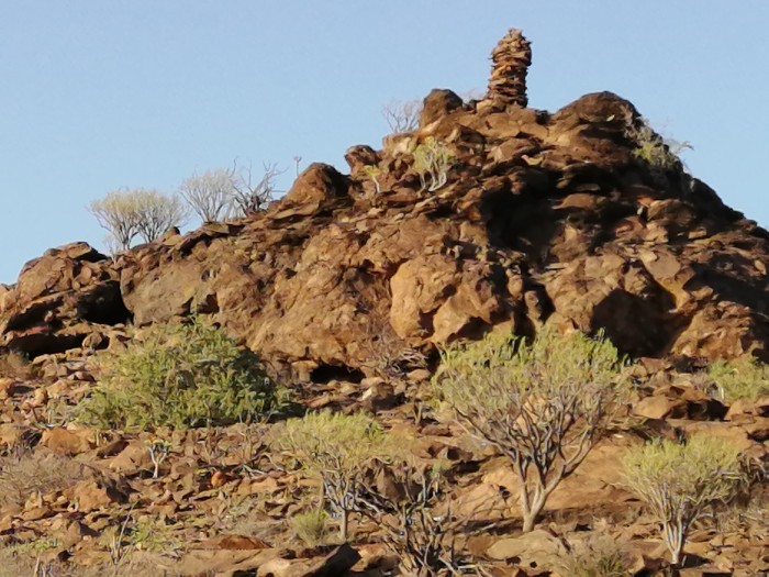 paseo masaje y sexo en la naturaleza