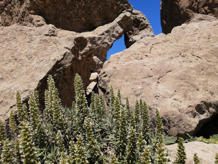 paseo masaje y sexo en la naturaleza