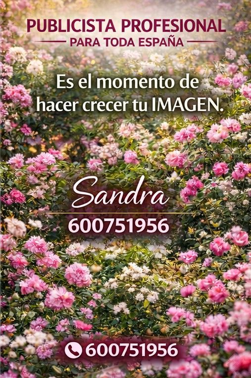 Publicidad packs y anuncios individuales