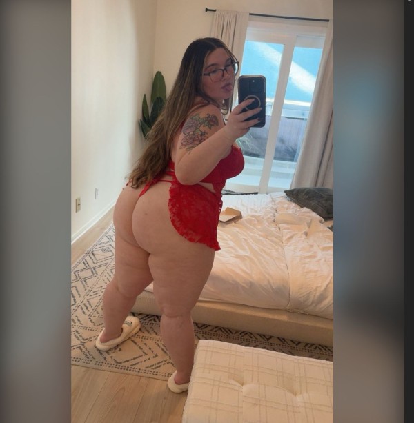 Novedad latina