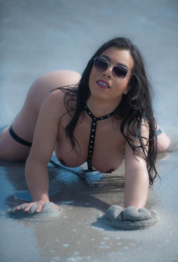 PRIMERA VEZ EN ESPAÑA, TRANS ACTIVA INTERNACIONAL