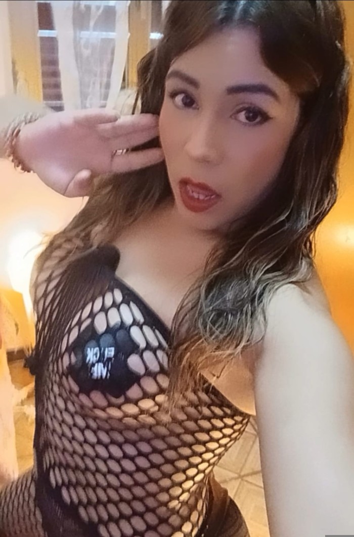 PRIMERA VEZ EN ESPAÑA, TRANS ACTIVA INTERNACIONAL