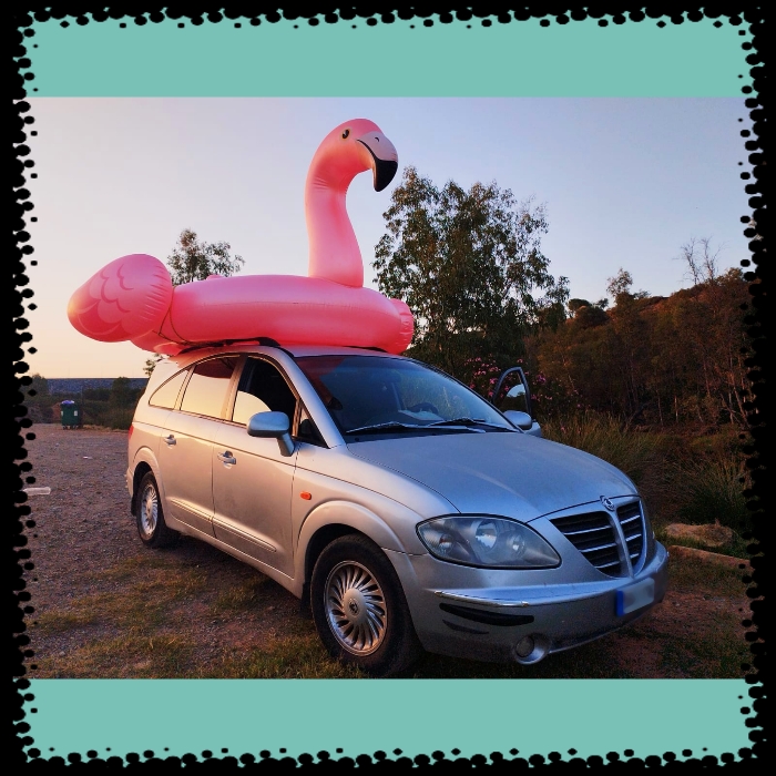 Ama Miriam Mujer Fitnnes € *****