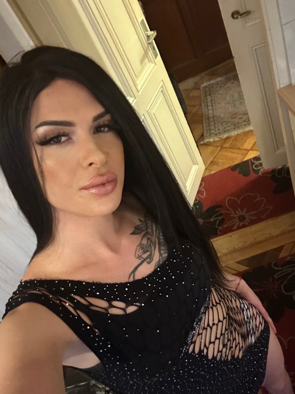 Andaluza Novedad 24hr Vigo tu gatita en celo malagueña