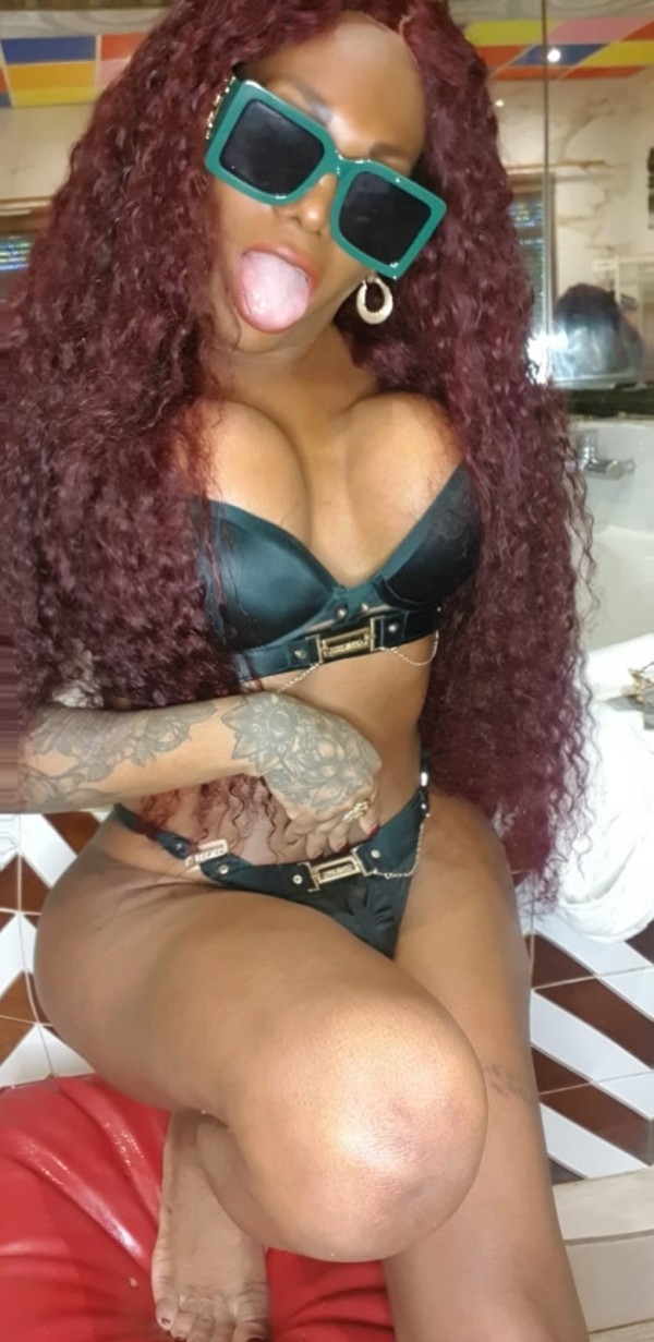 Activa pollón disponible pará ty