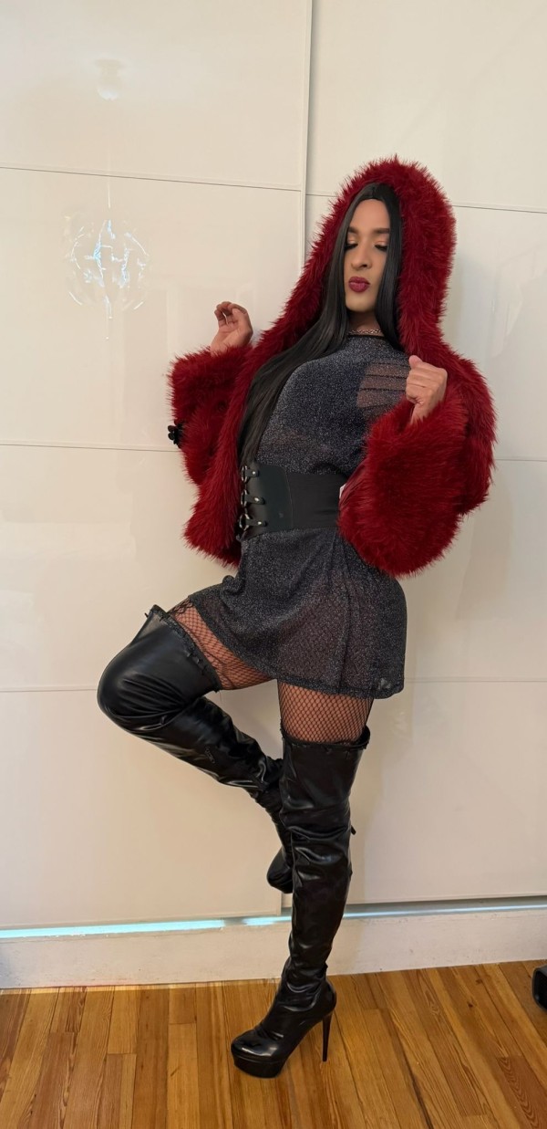 Alondra mamasota latina