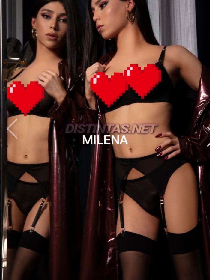 DOMINTE VIP POLONA ME CORO