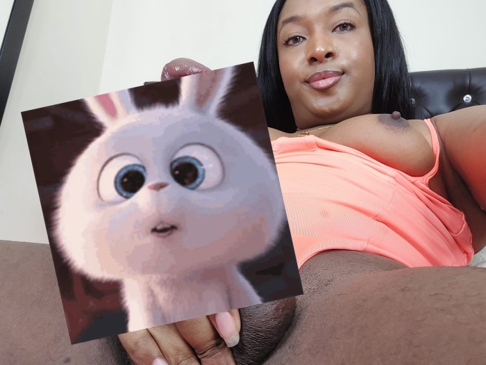 Trnasessuale nuova in terrassa