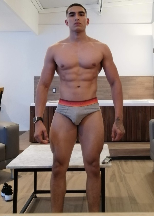 Fitness modelo