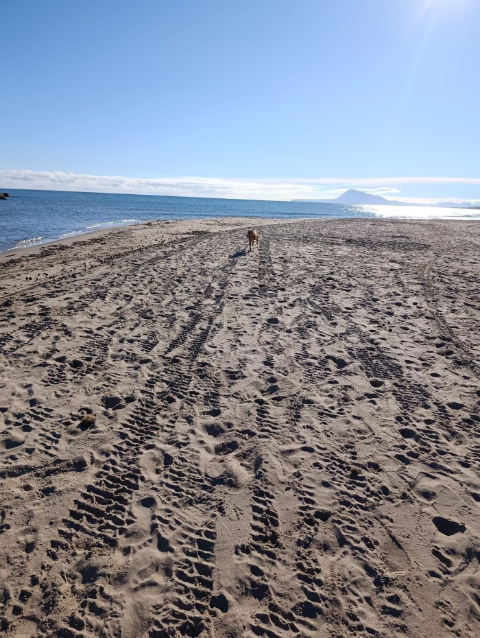 Masajes eroticos y Orientales