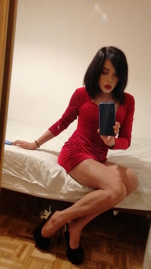 Maya Trans de visita