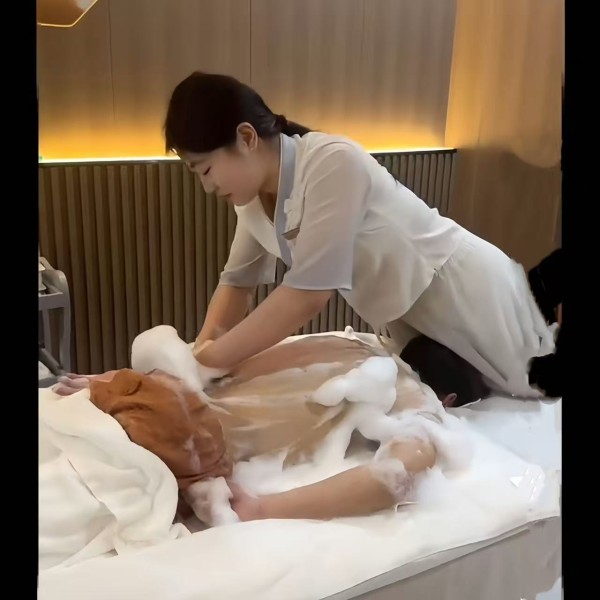 Nuevas masajistas sexys cachondas sensuales y salidas